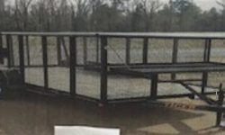Tiger_LandscapeTrailer_01